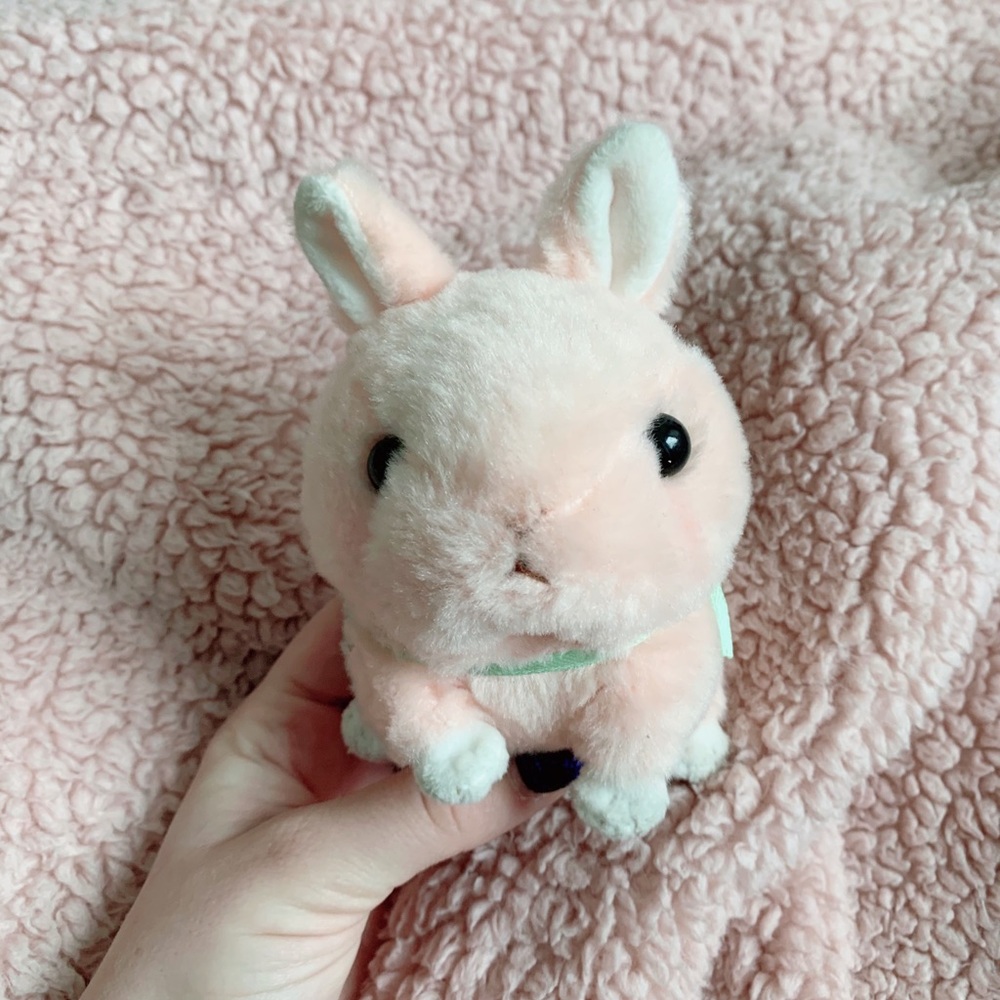 plushie bunny keychain amuse brand